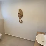 El Loft Del Capitan